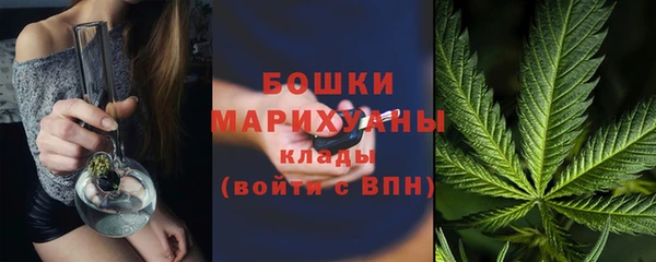скорость Каменногорск