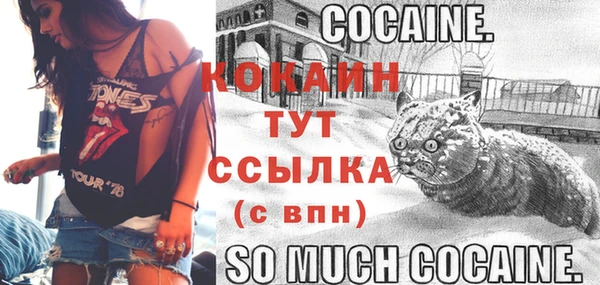 синтетический гашиш Карпинск